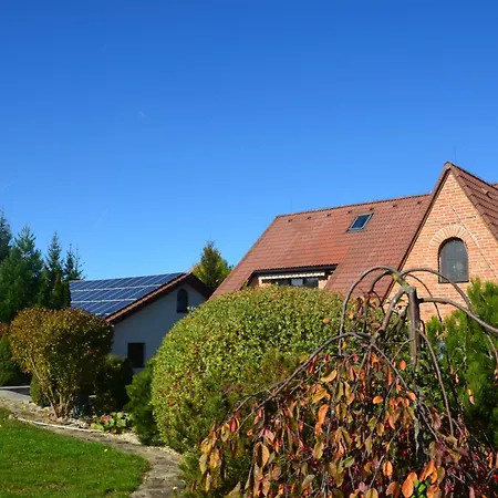 Holiday, Party And Relax Kurimske Jestrabi