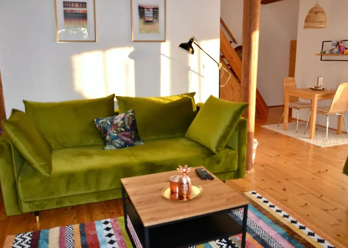 Holiday, Party And Relax Kurimske Jestrabi