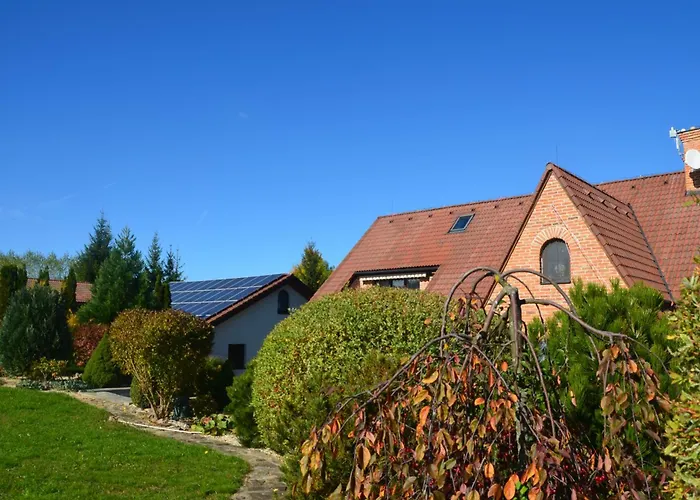 Holiday, Party And Relax Kurimske Jestrabi