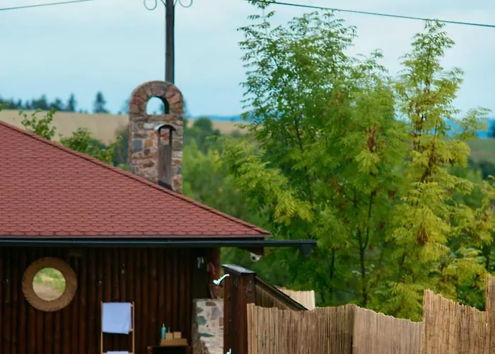 Holiday, Party And Relax